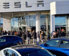 File d'attente pour un cybertruck dans une salle d'exposition Tesla à Langley, en Colombie-Britannique (image : CyberNatural_BC/X)