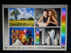 Angles de vision IPS étendus