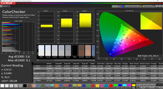 Asus ZenBook UX391U - ColorChecker (profil Splendid : Standard).