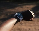 Garmin déploie la version 18.22 du logiciel pour la Forerunner 955. (Source de l'image : Garmin)