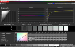 CalMAN Niveaux de gris