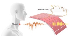 Des ingénieurs de l&#039;UCLA créent un patch pour traduire en paroles audibles les mouvements des muscles de la gorge et les paroles muettes. (Source : article de Ziyuan Che et al.)