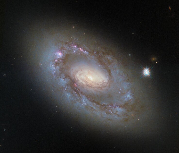 L'image Hubble de NGC 4102 (Source de l'image : ESA/Hubble, NASA, et G. Fabbiano)