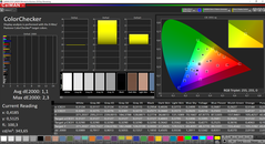 ThinkPad T490s - CalMAN ColorChecker après calibrage (espace colorimétrique cible : sRVB).