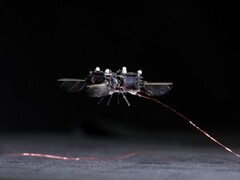 Le robot abeille en vol (Source de l&#039;image : David von Blohn/CNN ; capture d&#039;écran recadrée)