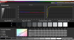 CalMAN Grayscale (espace couleur cible P3)