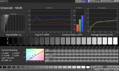 CalMAN Niveaux de gris