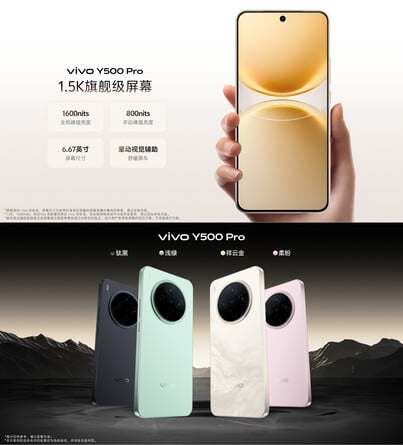 Options de couleur et écran du téléphone (Image source : Vivo)