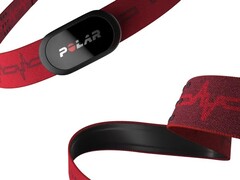Polar semble travailler sur un nouveau bracelet portable similaire au H10 (ci-dessus). (Source de l'image : Polar)
