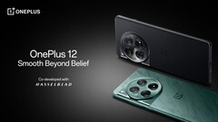 Le OnePlus 12. (Source de l'image : OnePlus)