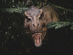 Une image du T. rex