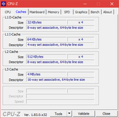 ThinkPad A485 - CPU-Z : caches.