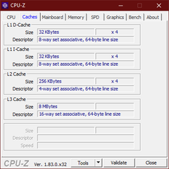 ThinkPad E15 - CPU-Z : caches.