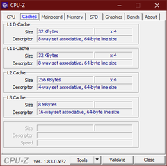 Lenovo ThinkPad T590 - CPU-Z : caches.