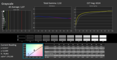 Calman ColorChecker calibré en niveaux de gris