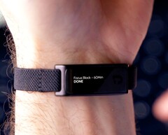 Le projet « The Jaye Band » fait actuellement l'objet d'une campagne de financement participatif sur Kickstarter.