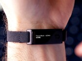 Le projet « The Jaye Band » fait actuellement l'objet d'une campagne de financement participatif sur Kickstarter.
