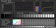 CalMAN : Niveaux de gris (calibrés)