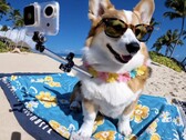 OpenAI présente Sora, qui permet de générer des textes et des vidéos photoréalistes (Source : OpenAI)