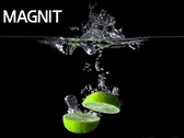 La série MAGNIT a un nouveau membre. (Source : LG)