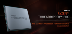 La série Ryzen Threadripper PRO comprend quatre processeurs. (Source de l&#039;image : AMD)