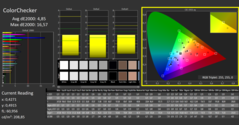 CalMAN - Vérificateur de couleurs (calibré)