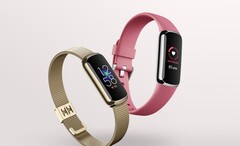 Le Fitbit Luxe prend désormais en charge l'AoD et les mesures de SpO2. (Image source : Fitbit)