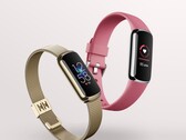 Le Fitbit Luxe prend désormais en charge l'AoD et les mesures de SpO2. (Image source : Fitbit)