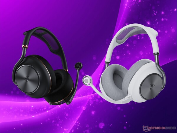 Coloris Turtle Beach Stealth Pro II blanc et noir