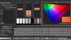 CalMAN : ColorChecker (calibré)