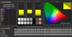 Dell G5 15 5590 - CalMAN : Color Checker (après calibrage).