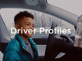 Profils des conducteurs (image : Tesla)