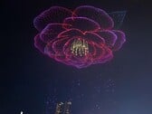 Une scène de Charming Chongqing d'un pétale de camélia, la fleur officielle de Chongqing (Source de l'image : SB News ; recadré)
