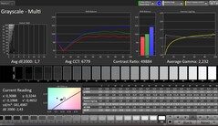 Échelles de gris CalMAN