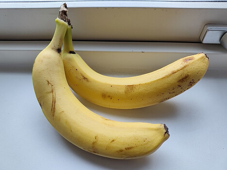 Enregistrement avec la caméra principale