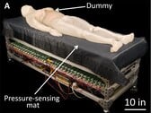 Illustration du nouveau matelas à pression alternée (Source de l'image : Science.org Robotics ; recadré)