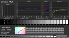 CalMAN : Niveaux de gris (calibrés)