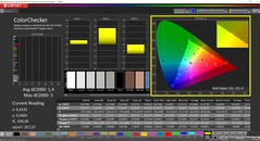 CalMAN ColorChecker (Profil : sRGB, Espace couleur cible : sRGB)