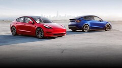 Les Model 3 et Model Y de base sont équipées de batteries LFP fabriquées en Chine (image : Tesla)