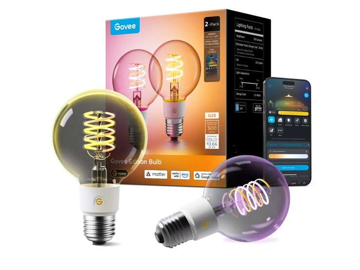 L'ampoule Govee E26 Smart Edison Light Bulb G25