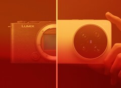 Le Vivo X300 Ultra est plus grand et plus cher que l'appareil photo plein cadre Lumix S9.