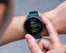 La Vivoactive 6 a reçu trois mises à jour avec les mêmes changements au cours des dernières semaines. (Source de l'image : Garmin)