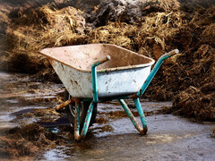 Le fumier et le lisier ont de la valeur, il suffit de l'extraire. (pixabay/Antranias)