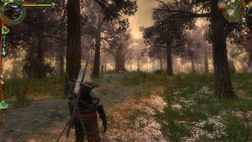 Illustration : une capture d’écran du jeu The Witcher: Enhanced Edition Director's Cut.