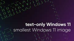 Le développeur de Tiny11 réduit Windows 11 à sa plus simple expression (Image source : NTDev)