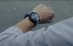 La série Forerunner 165 se décline en deux variantes et un total de six références. (Source de l'image : Garmin)