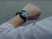 La série Forerunner 165 se décline en deux variantes et un total de six références. (Source de l'image : Garmin)