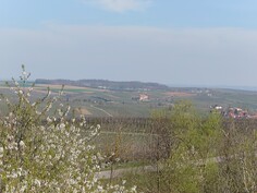 Sony Xperia 1 VI - zoom 5x