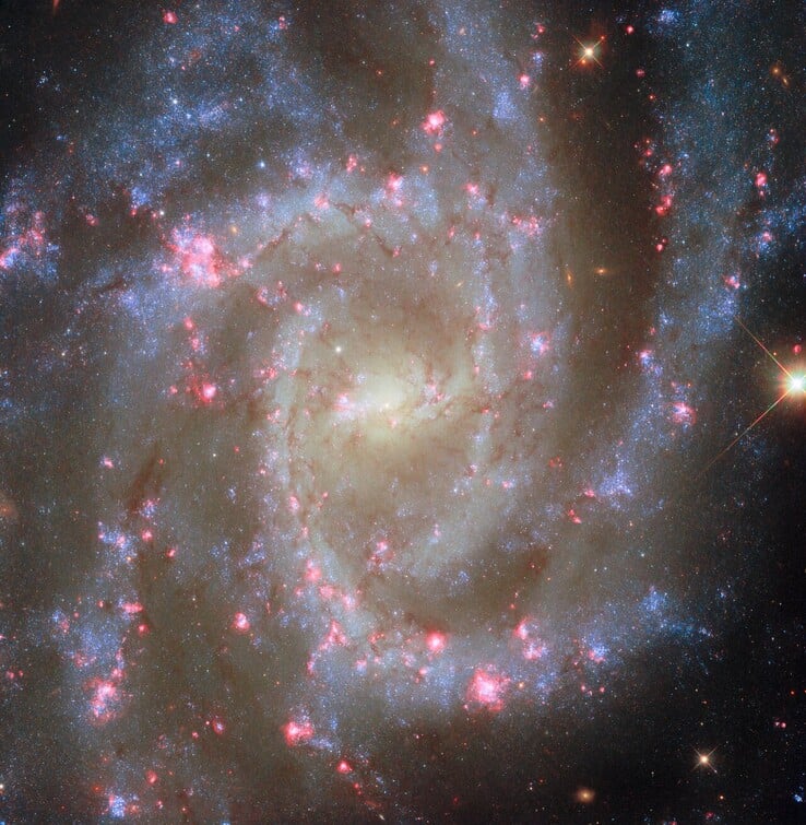 L'image POTW de NGC 2835 (Source de l'image : ESA, NASA, R. Chandar, J. Lee, et l'équipe PHANGS-HST)