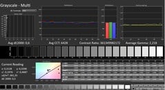 CalMAN : Niveaux de gris (calibrés)